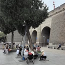 西安旅游 缩略图 9