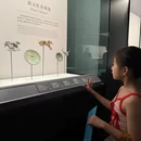 上海旅游 缩略图 4