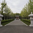 洛阳旅游 缩略图 15
