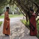 洛阳旅游 缩略图 14