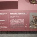 苏州旅游 缩略图 1