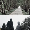 洛阳旅游 缩略图 7
