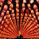 西安旅游 缩略图 11