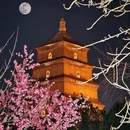 西安旅游 缩略图 1