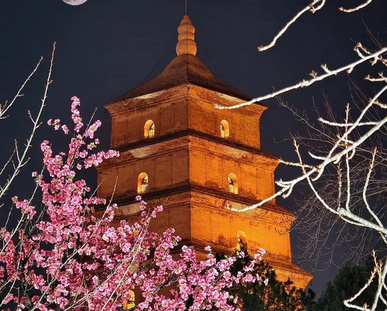 西安旅游 1
