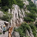 洛阳旅游 缩略图 9