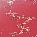 洛阳旅游 缩略图 11