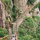 洛阳旅游 缩略图 7
