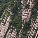 洛阳旅游 缩略图 10