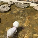 天津旅游 缩略图 17