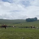 天津旅游 缩略图 14