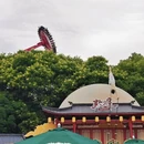 上海旅游 缩略图 11