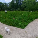 天津旅游 缩略图 11