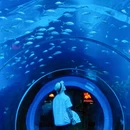 威海旅游 缩略图 7