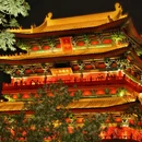 沧州旅游 缩略图 2
