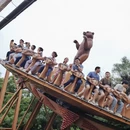 上海旅游 缩略图 13