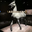 深圳旅游 缩略图 2