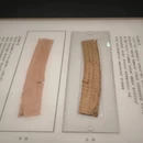 武汉旅游 缩略图 14