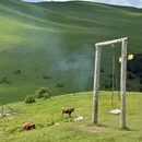 成都旅游 缩略图 9
