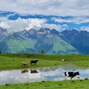 成都旅游 缩略图 4