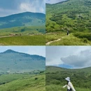 沧州旅游 缩略图 7