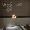 武汉旅游 缩略图 7