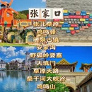 石家庄旅游 缩略图 11