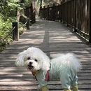 天津旅游 缩略图 4