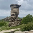天津旅游 缩略图 13