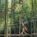 杭州旅游 缩略图 15