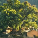常州旅游 缩略图 6