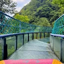 杭州旅游 缩略图 9