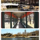 重庆旅游 缩略图 7