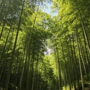 湖州旅游 缩略图 2