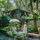 杭州旅游 缩略图 13