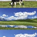 成都旅游 缩略图 11