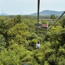 湖州旅游 缩略图 16