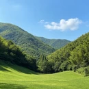湖州旅游 缩略图 7