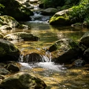 湖州旅游 缩略图 3