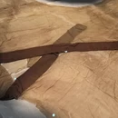 长沙旅游 缩略图 12