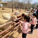 沧州旅游 缩略图 7