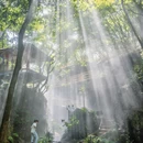 杭州旅游 缩略图 9
