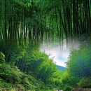湖州旅游 缩略图 3