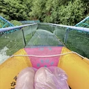 杭州旅游 缩略图 7