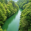 芜湖旅游 缩略图 7