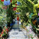 杭州旅游 缩略图 6