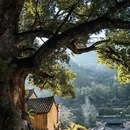 常州旅游 缩略图 5