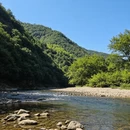 杭州旅游 缩略图 6