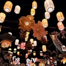 杭州旅游 缩略图 6