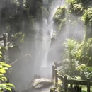 杭州旅游 缩略图 16